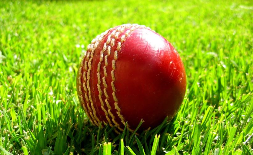 cricket ball in grass